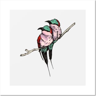 Puffy Bee-eaters Posters and Art